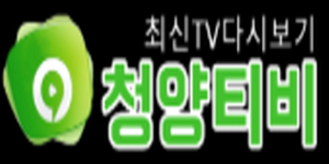 청양티비
